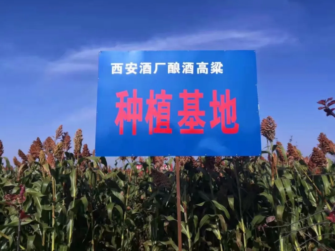 1615865090244463.png image.png